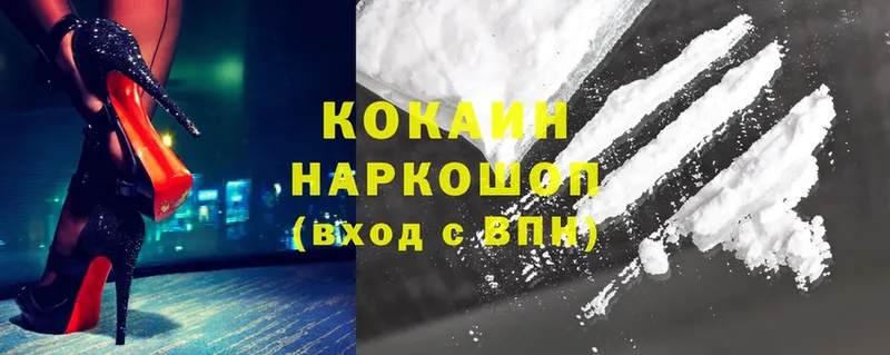 закладка  кракен как войти  Cocaine VHQ  Светлоград 